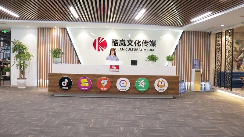 mg动画定制：揭秘一分钟价格背后的秘密